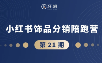 盗坤·抖音小红书视频号短视频带货与直播变现(11-21期)-铜臭网
