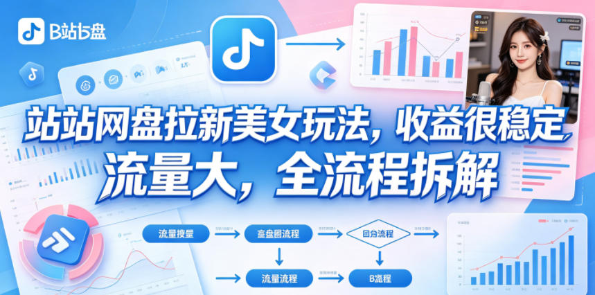 B站网盘拉新美女玩法,收益很稳定,流量大,全流程拆解-铜臭网