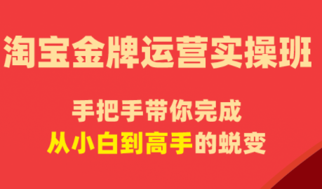 飓风电商·淘宝金牌运营实操班-铜臭网