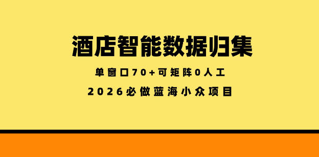 酒店智能数据归集,小众蓝海已经稳定半年之久,单窗口70+零成本矩阵开干【揭秘】-铜臭网