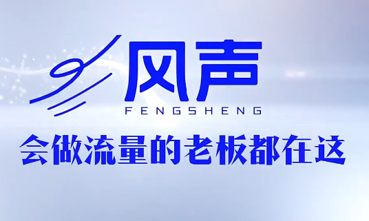 董十一·风声短视频AI获客年度会员-铜臭网
