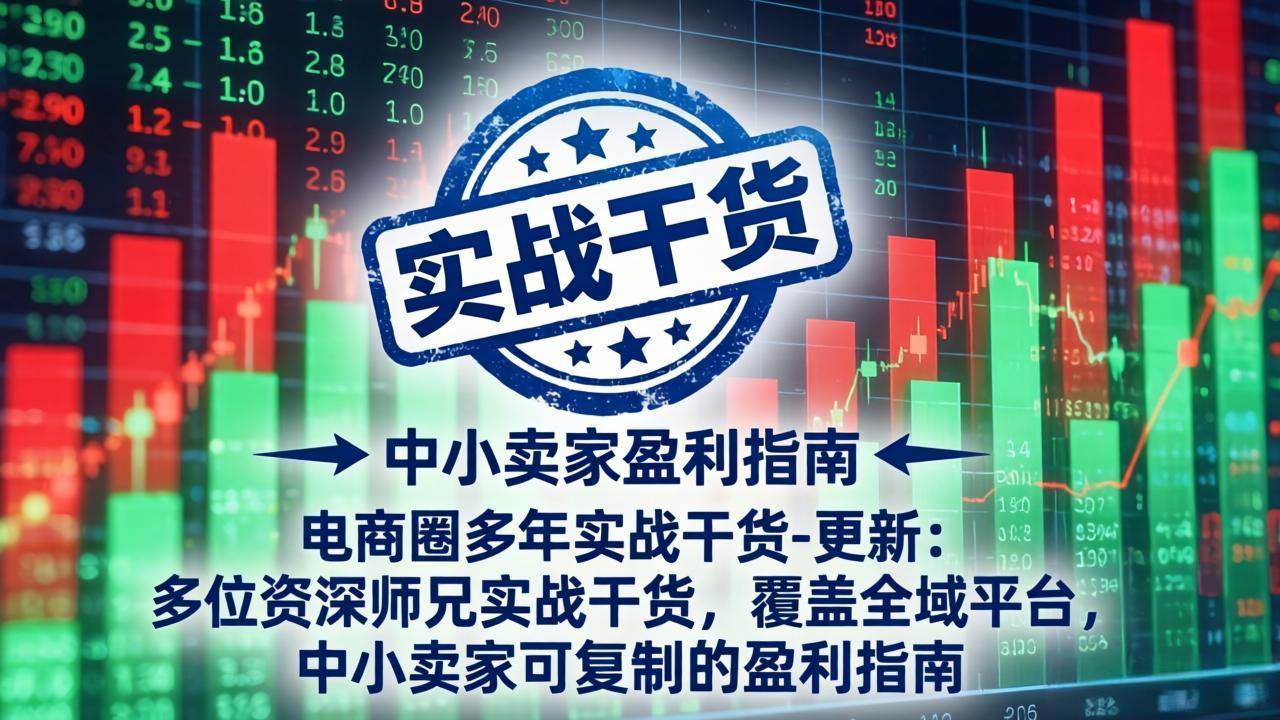 电商圈多年实战干货-更新5月20:多位资深师兄实战干货/覆盖全域平台,中小卖家可复制的盈利指南-铜臭网