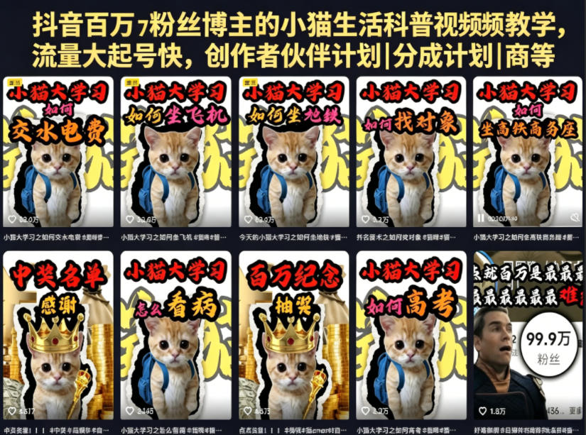 抖音百万粉丝博主的小猫生活科普视频教学,流量大起号快,创作者伙伴计划|分成计划|商单|收徒等-铜臭网