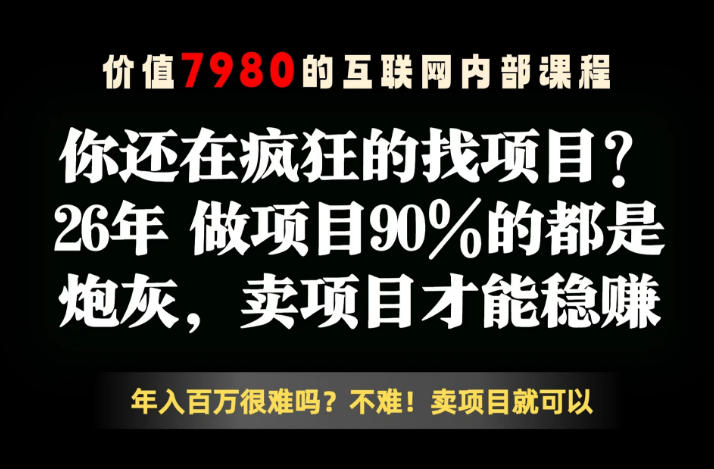 26年请不要疯狂的找项目了，卖项目远比你想象的暴利，你也可以月入10W+【揭秘】-铜臭网