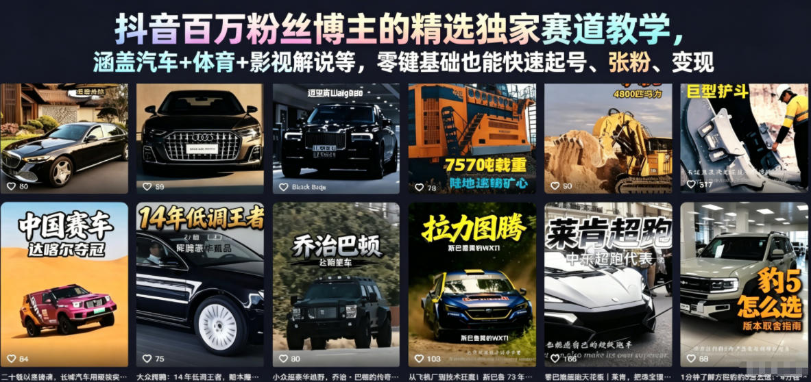 抖音百万粉丝博主的精选独家赛道教学，涵盖汽车+体育+影视解说等，零基础也能快速起号、涨粉、变现-铜臭网