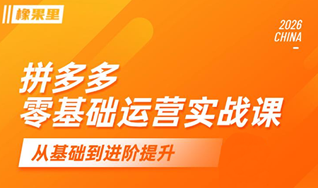 仙道电商·拼多多零基础运营实战课-铜臭网