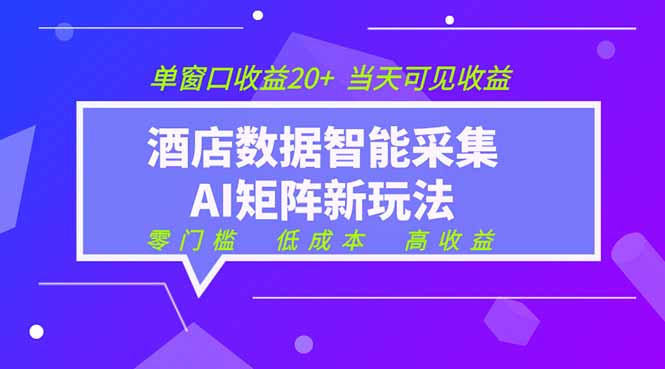 2026酒店数据采集ai智能矩阵新风口  低成本   高收益   当天见收益   单窗口20+-铜臭网