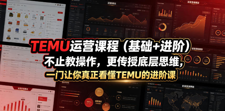 TEMU运营课程(基础+进阶),不止教操作,更传授底层思维,一门让你真正看懂TEMU的进阶课-铜臭网