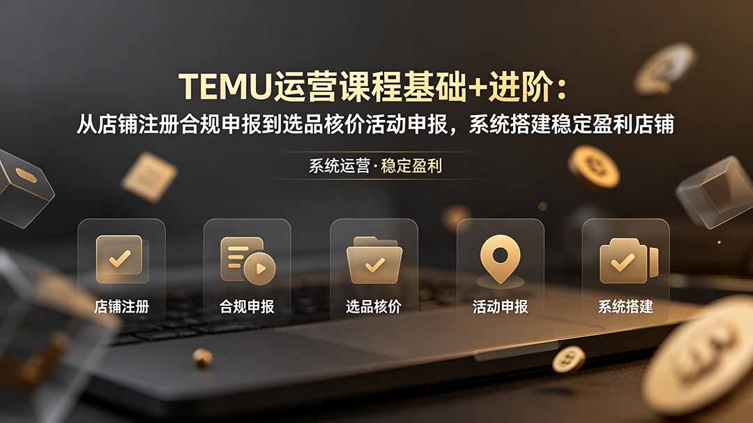 TEMU运营课程(基础+进阶-铜臭网