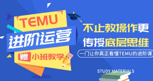 阿卡林·TEMU运营课程(基础+进阶)-铜臭网