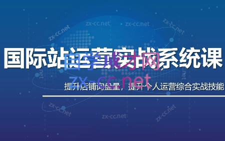 白老师·国际站运营实战系统(高质量询盘增长课)(更新)-铜臭网