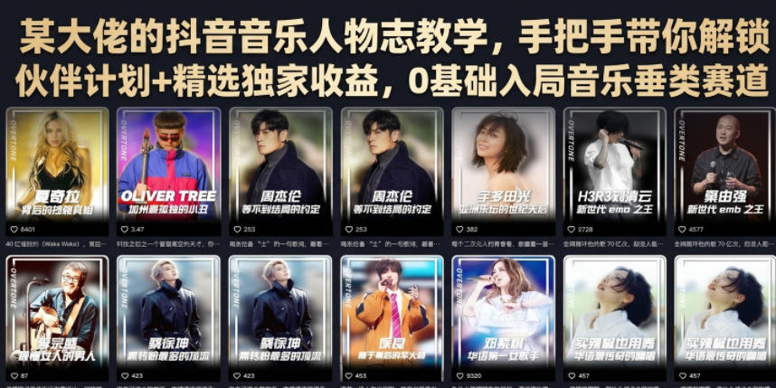 某大佬的抖音音乐人物志教学,手把手带你解锁伙伴计划+精选独家收益,0基础入局音乐垂类赛道-铜臭网